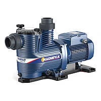 Насос для басейну Pedrollo Magnifika 1m