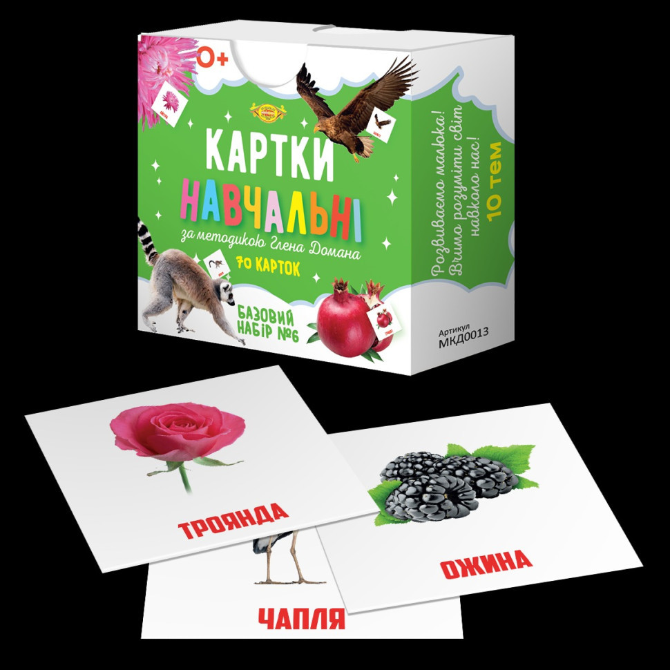 Картки навчальніі Глена Домана №6 Майстер MKD0013 укр, фото 1