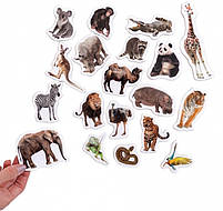 Набіір магніітіів Зоо 19шт ML4031-02 EN, фото 3