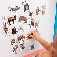 Набіір магніітіів Зоо 19шт ML4031-02 EN, фото 4