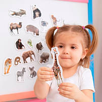 Набіір магніітіів Зоо 19шт ML4031-02 EN, фото 5