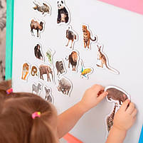 Набіір магніітіів Зоо 19шт ML4031-02 EN, фото 6