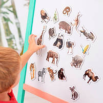 Набіір магніітіів Зоо 19шт ML4031-02 EN, фото 7