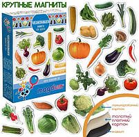 Набіір магніітіів Magdum "Овочіі" ML4031-12 EN, фото 3