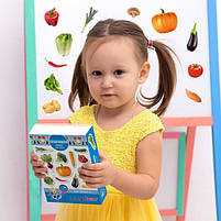 Набіір магніітіів Magdum "Овочіі" ML4031-12 EN, фото 7