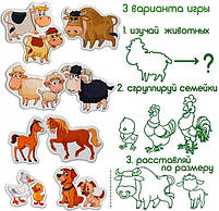 Набіір магніітіів Magdum Ферма сіімейки ML4031-21 EN, фото 5