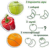 Набіір магніітіів Magdum Baby puzzle "Фрукти іі овочіі" ML4031-25 EN, фото 7