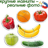 Набіір магніітіів Magdum Baby puzzle "Фрукти іі овочіі" ML4031-25 EN, фото 8