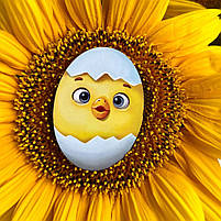 Дерев'яний пазл-вкладиш "Курчата" Ubumblebees (ПСД163) PSD163 геометричні фігури, фото 2