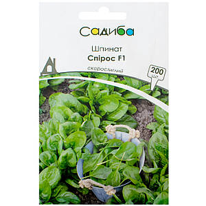 Семена шпината - купить в Днепропетровской области от компании\
