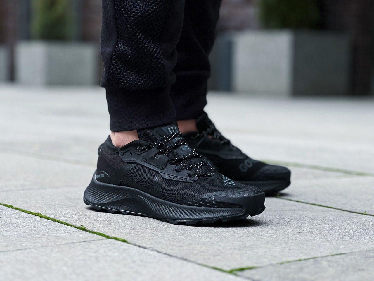 Кросівки чоловічі Nike Pegasus Trail 3 GTX / DC8793-200, фото 1