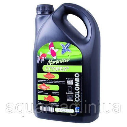 Colombo Morenicol Cytofex 2500 ml (Лікарський препарат проти бактеріальних інфекцій у риб), фото 1