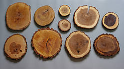 Якісні спилки різних порід дерева з обробкою