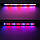 Фітолампа для рослин LED Plant Grow Light 18W, лампа для рослин гнучка зі зміною кольору, фітосвітильник, фото 4