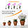 Фітолампа для рослин LED Plant Grow Light 18W, лампа для рослин гнучка зі зміною кольору, фітосвітильник, фото 10