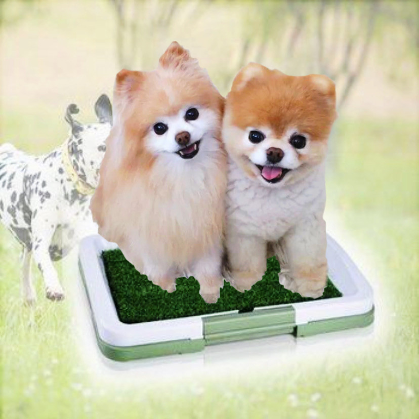 Туалет килимок для собак Puppy Potty Pad 3 рівні Килимок-імітація трави Лоток для тварин