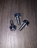 Болт кріплення пальця супорту М8*1*20*10 голова під ключ 14 Lanos GM