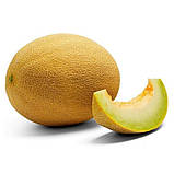 Диня Ананас, насіння 0,5 г, фото 2