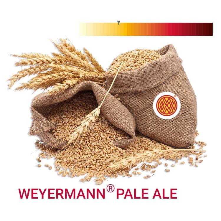 Солод ячмінний Pale Ale - Пейл Ель 1 кг - Weyermann Німеччина - базовий солод для пивоваріння, фото 1