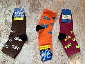 Шкарпетки Житомир 23-25 ромашки (мікс коліра)