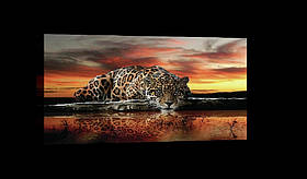 Картина на полотні 40 x 20 см Ягуар на заході (BB20291)