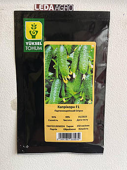 Капрікорн F1 250 шт Yuksel Seeds