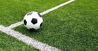 Спортивная искусственная трава для футбола 60 мм для футбольных полей BELLING Dtex 13000