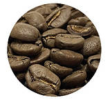 Кава в зернах ОЛІМПІЯ арабіка 500 г Коста - Ріка. Свіжообсмажена кава моносорт, фото 3