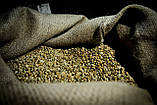 Свіжообсмажена кава в зернах, ЕСПРЕССО-КРЕМУ, 500 г. Купаж: арабіка 50%, робуста 50%, фото 5