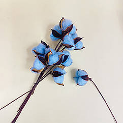 Бавовна сухоцвіт гілка блакитна