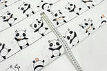 Тканина бавовняна "Ведмедики Панди" на білому тлі №956, фото 5