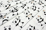 Тканина бавовняна "Ведмедики Панди" на білому тлі №956, фото 4