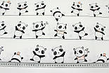 Тканина бавовняна "Ведмедики Панди" на білому тлі №956, фото 6