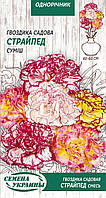 Гвоздика садова Страйпед суміш 0.1 гр СУ (одноріч.)