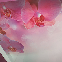 Фотодрук на білій глянцевій стелі "Орхідеї"