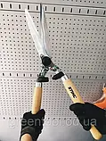Садові ножиці Stihl PH 10 (00008813671), фото 3