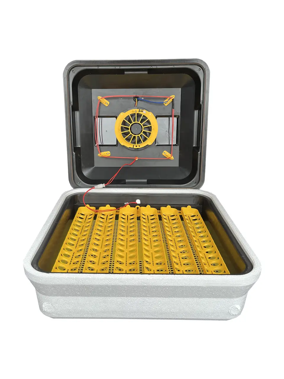 Інкубатор автоматичний Теплуша Euro 88 ТАВ 12 (220/12в) комбінований корпус, фото 1