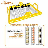 Інкубатор автоматичний Теплуша Люкс 72 ТАВ Теновий з Вологоміром, фото 3