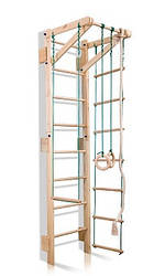 Дитячий спортивний куточок «Teenager Sport 2-220»