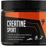 Trec Nutrition Creatine Sport - 300 г