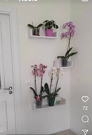 Код: Р37 Білий https://opendoors.kiev.ua/ua/p1452380150-polki-nastennye-dsp.html