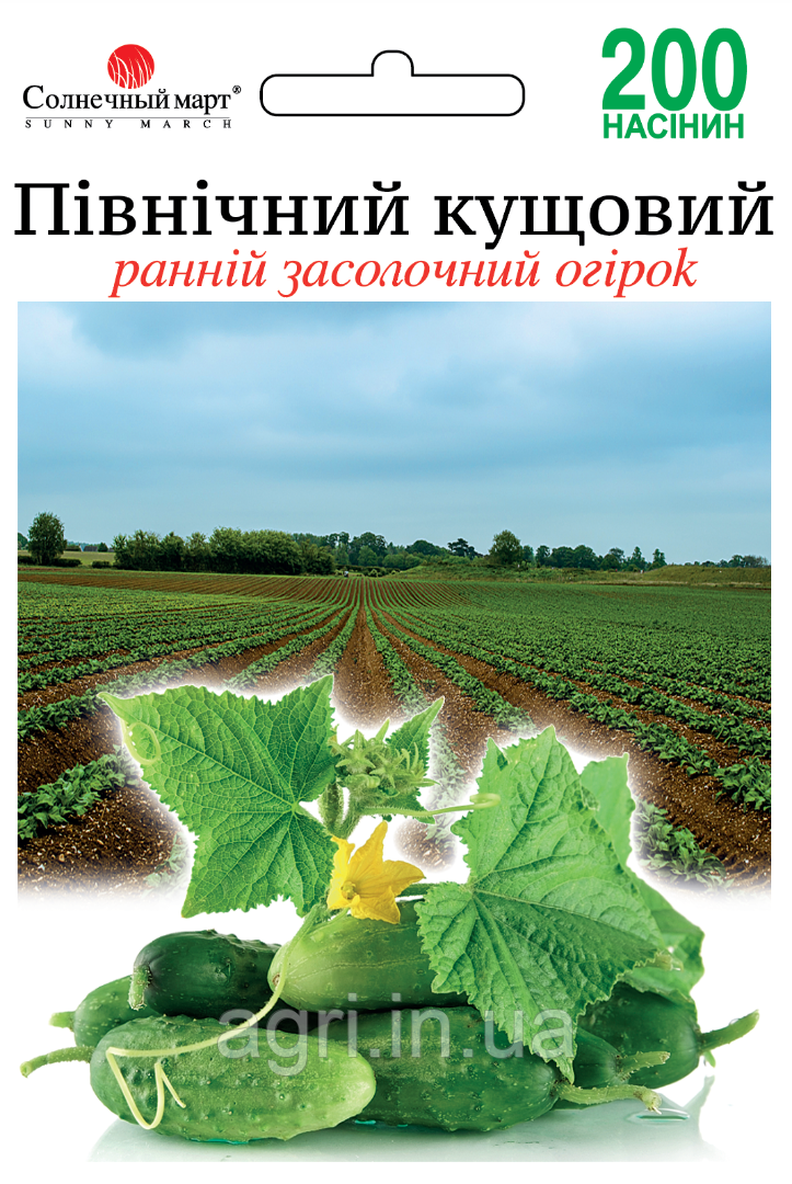 Огірок Північний кущовий, 200шт