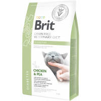 Сухий корм для кішок Brit GF VetDiets Cat Diabets 2 кг (8595602528523)