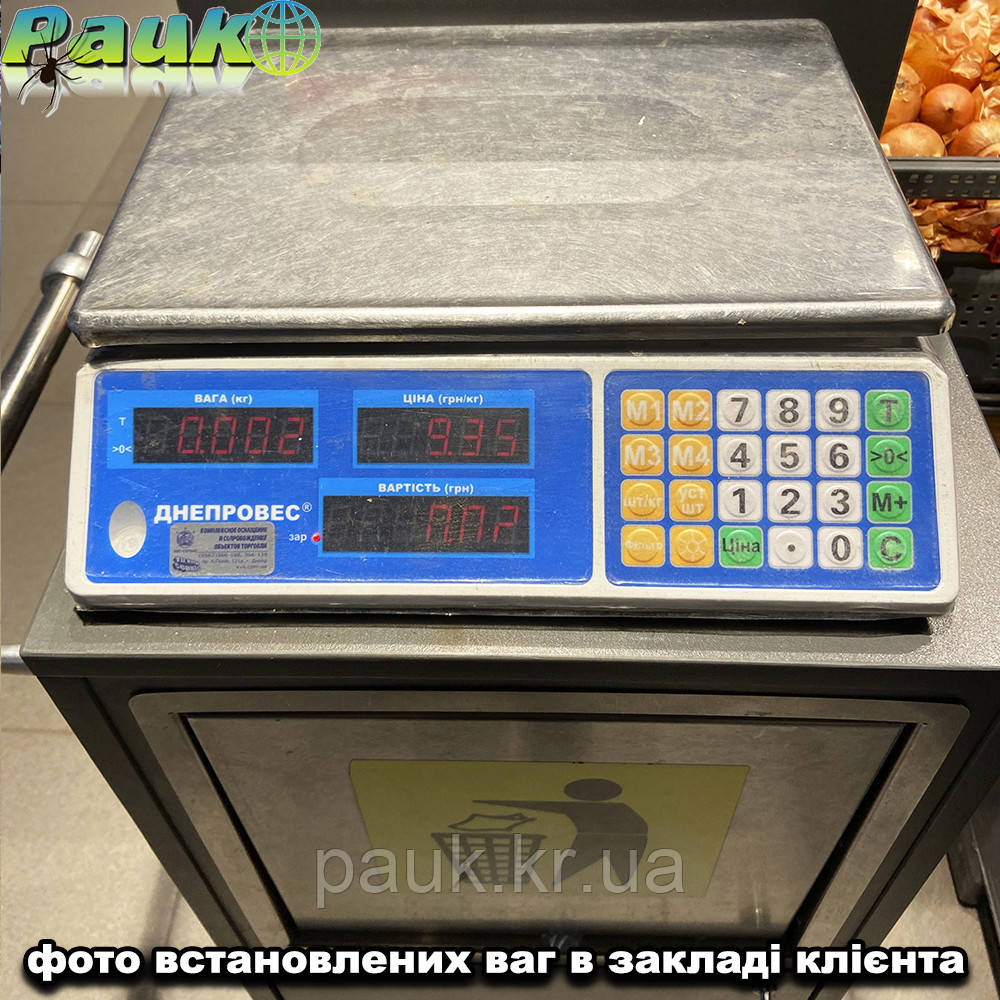 Электронные весы для торговли, 6 кг ВТД-Л2 (F902H-6L2), весы продуктовые, весы в магазин, весы для мяса - фото 6 - id-p580196852