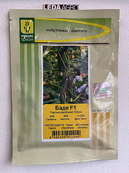 Баде F1 500 шт Yuksel Seeds