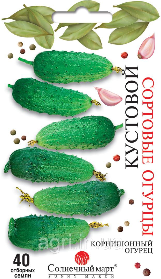 Огірок Кущовий, 40шт