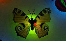 Світлодіодні метелики 1шт. - різні кольори, уточнюйте, пластик