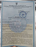 Сережки Xuping 23753, розмір 15*6мм, позолота РО, фото 4