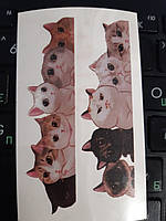 Дитяче тату "Коти" - розмір наклейки 10*6см