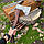 Набір шампурів РИСЬ Gorillas BBQ в дерев'яній коробці, фото 5